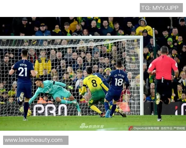 热刺与诺维奇精彩对决瞬间回顾图片集锦分享